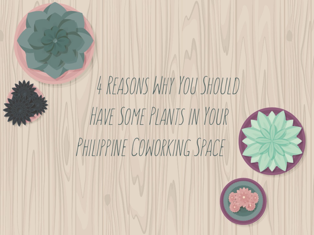 4 Reasons Why You Should Have Some Plants in Your Philippine Coworking Space_COVER